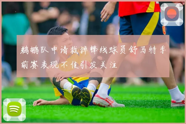 鹈鹕队申请裁掉锋线球员舒马特季前赛表现不佳引发关注