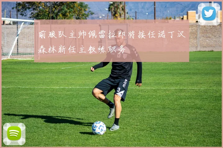 前狼队主帅佩雷拉即将接任诺丁汉森林新任主教练职务