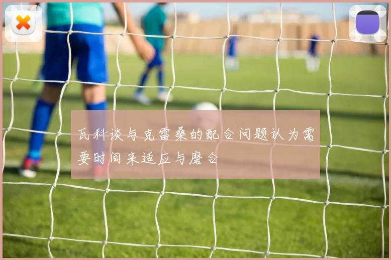 瓦科谈与克雷桑的配合问题认为需要时间来适应与磨合