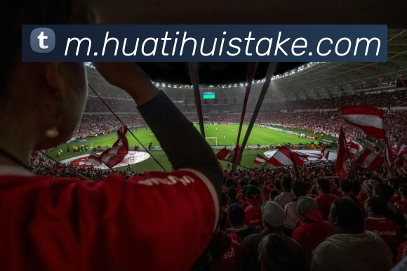 华体会体育APP 封面图